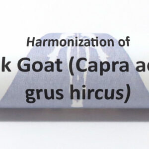 Milk, Goat (Capra aegagrus hircus)