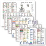 TBM Menu Chart - Complete Collection (save $450)